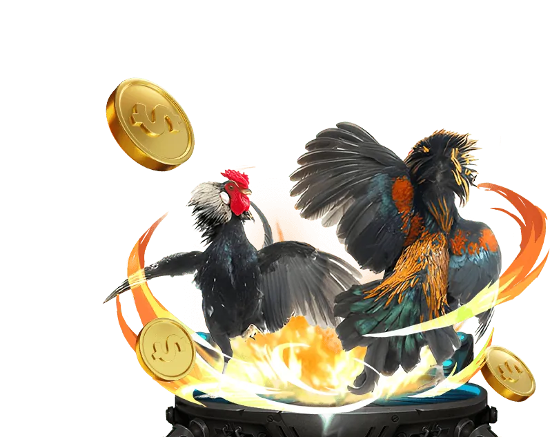 Các loại hình đá gà trên m88 app